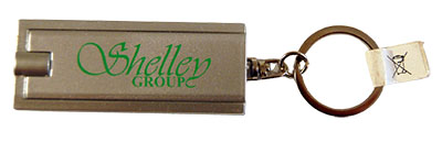 Shelley torch and key ring